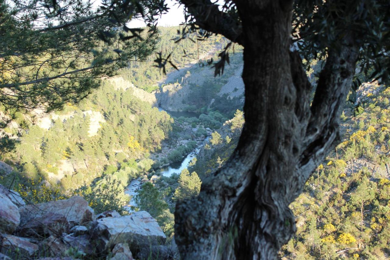 Sobreira Formosa O Palheiro - Vista Panoramica E Jacuzziゲストハウス エクステリア 写真