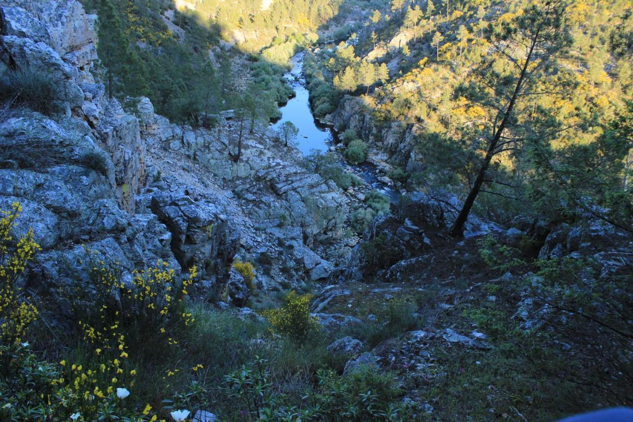 Sobreira Formosa O Palheiro - Vista Panoramica E Jacuzziゲストハウス エクステリア 写真
