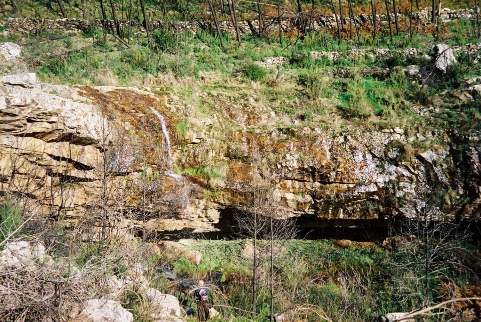Sobreira Formosa O Palheiro - Vista Panoramica E Jacuzziゲストハウス エクステリア 写真